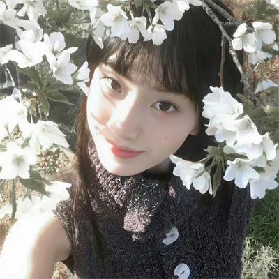 榴花正红