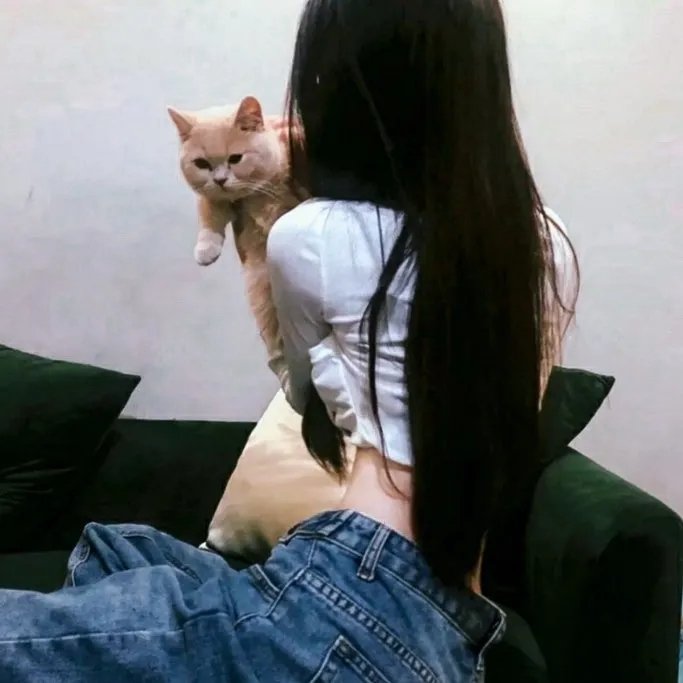 冒险的单身汉