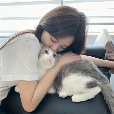 猪就是猪